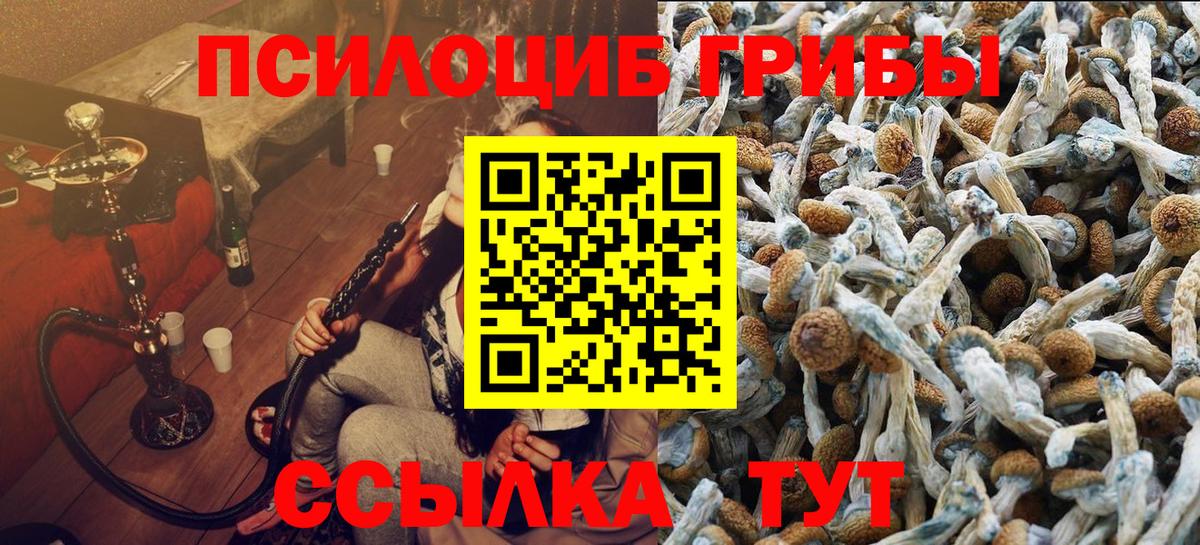 Псилоцибиновые грибы прущие грибы Тайшет