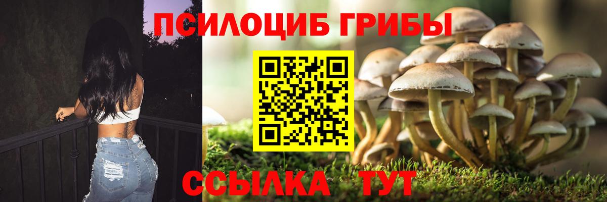 Галлюциногенные грибы мицелий  Вход с VPN  Тайшет 