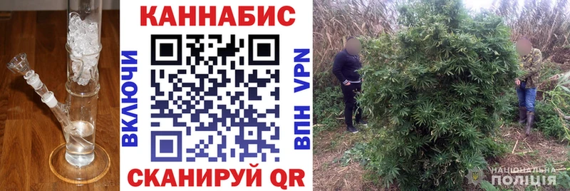 Каннабис AK-47  где купить наркоту  Тайшет 
